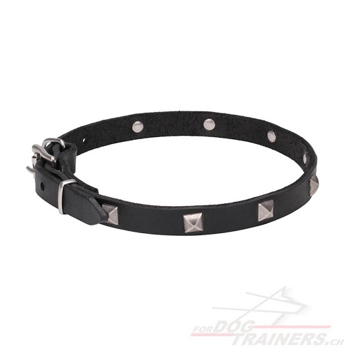 hunde halsband leder heute liefern