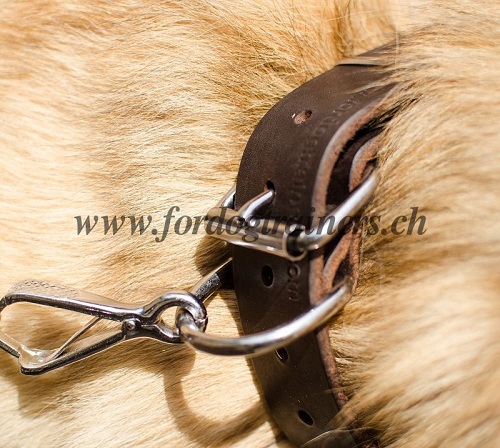 halsband luxus conchos tervueren schweiz