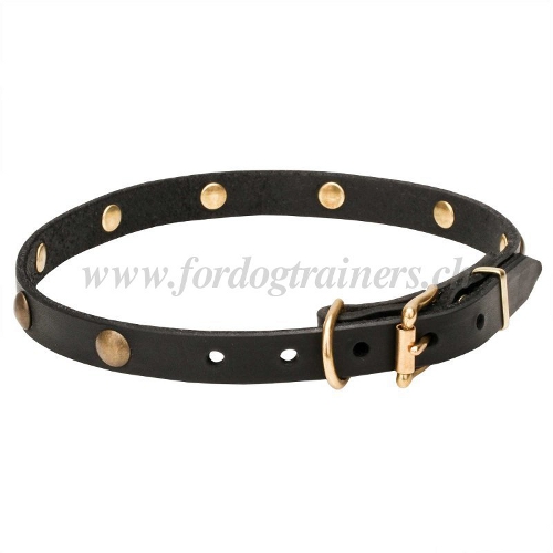 nietenhalsband leder dnn kaufen