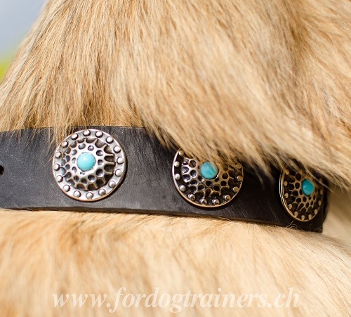 halsband leder stilvoll Tervueren schweiz
