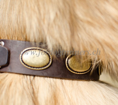 halsbnder leder Tervueren vintage
schweiz