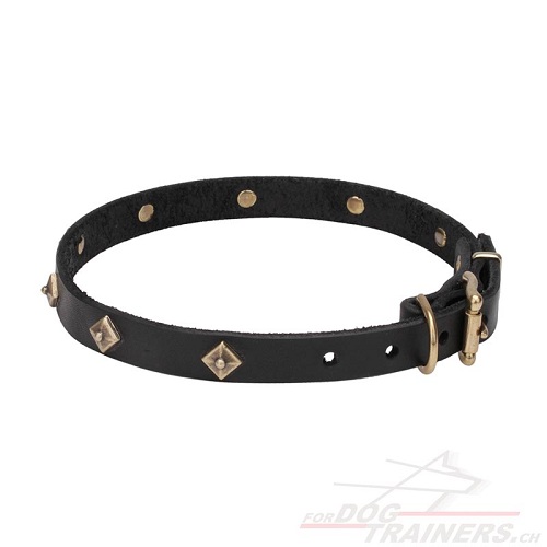 edles halsband leder leichtgewichtig
schweiz