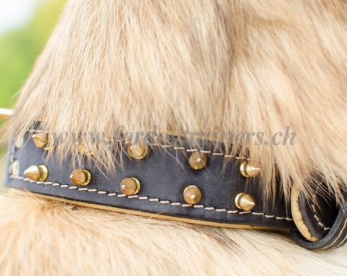 Lederhalsband Nappa basel bestellen