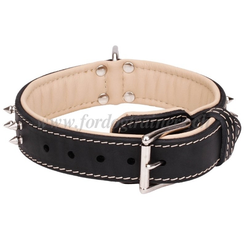 leder Halsband Nappa vernickelte spikes schweiz