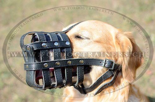 universeller Hundemaulkorb fr golden retriever