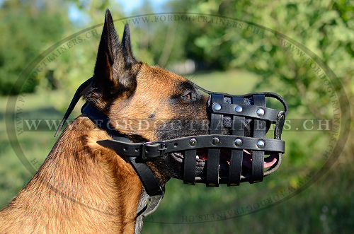 universeller Hundemaulkorb fr malinois