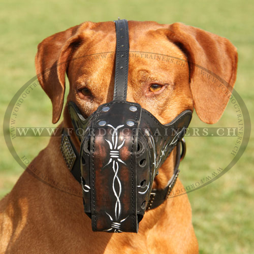 bemalter leder Hundemaulkorb fr
Rhodesian Ridgeback