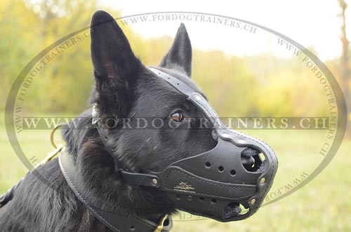 hunde leder maulkorb fr
Hetzarbeit schweiz