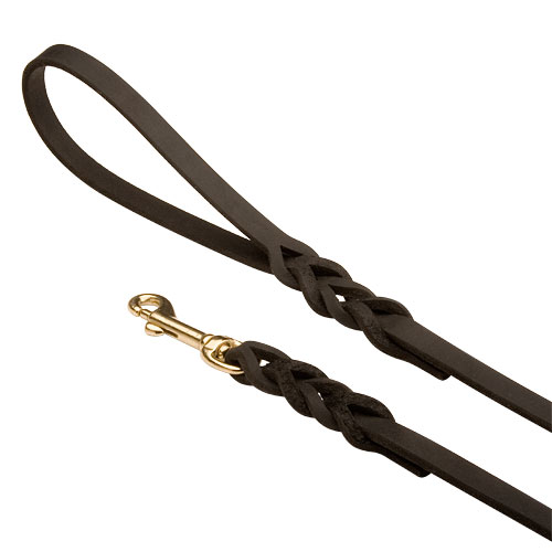 echtes leder leine Geflochten messing karabiner kaufen