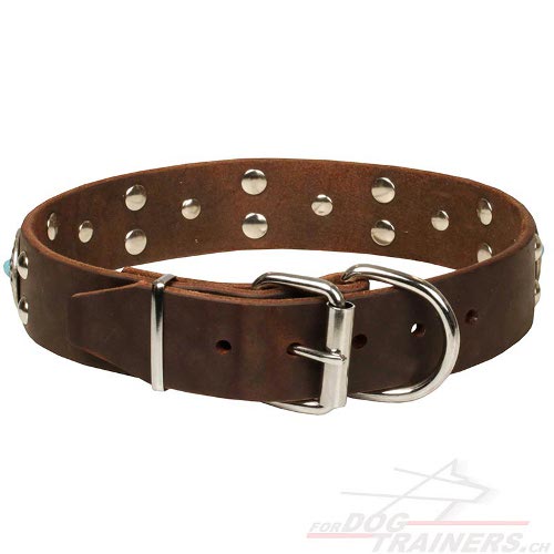 handgemachtes halsband hund weich anschaffen
