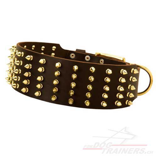 leder Hunde halsband extra breit schweiz