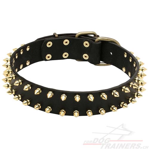 Hundehalsband Fettleder Schweiz