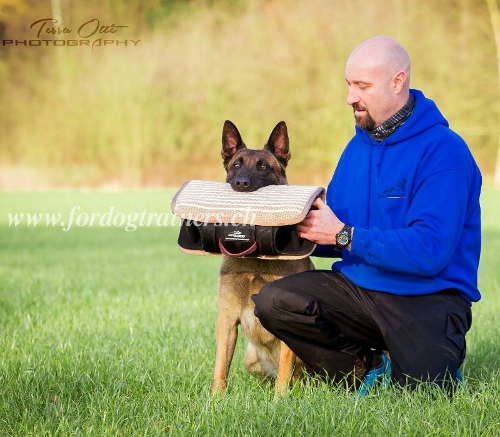 beiarm polizei belgien hunde
