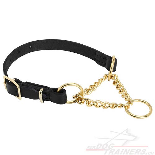 hunde kettenhalsband messing