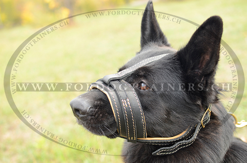 leder Maulschlaufe fr Deutschen Schferhund
mit Polsterung