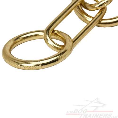 Kettenhalsband Hund, hundeshop schweiz