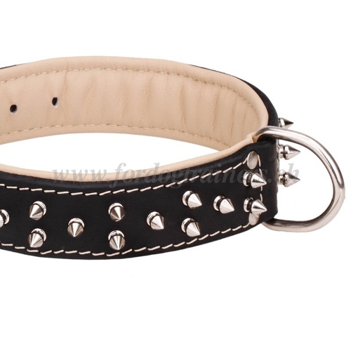 Nappaleder Halsband vernickelte spikes handgemacht