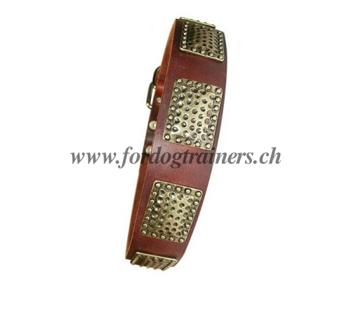Tolles Hundehalsband Leder mit
Platten