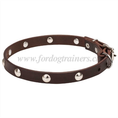 nietenhalsband weiches leder schweiz