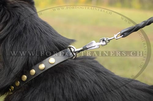 Bestes Leder
Hundehalsband fr Deutschen Schferhund