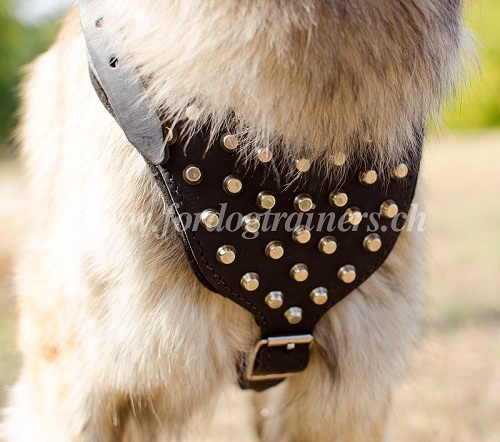 hundegeschirr leder weich nach ma