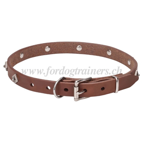 nietenhalsband leder echt schweiz