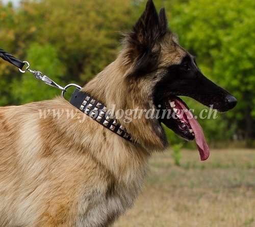 halsband leder breit tervueren schweiz