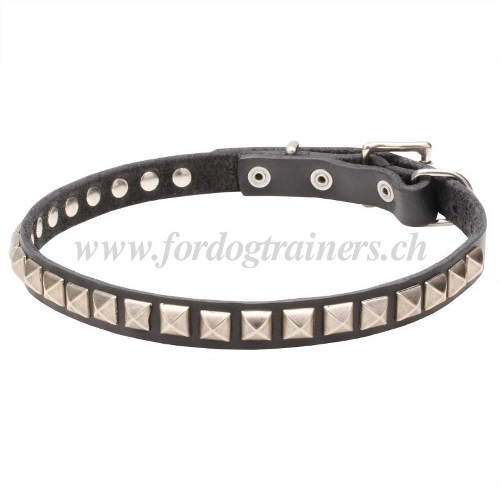 leder
halsband sterne schweiz