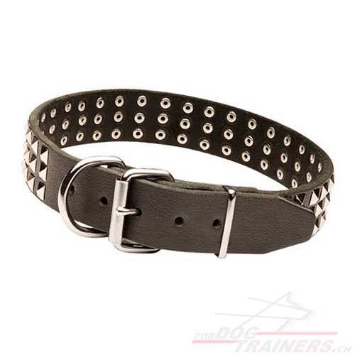 leder Hunde halsband nieten breit schweiz