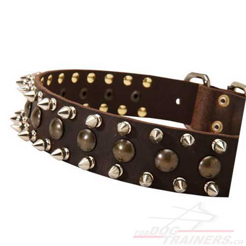 Nietenhalsband Leder mit Spikes genf kaufen