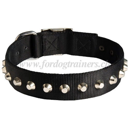 halsband nylon nieten schweiz