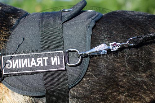 Order Classic chest harness made of nylon for German
Shepherd