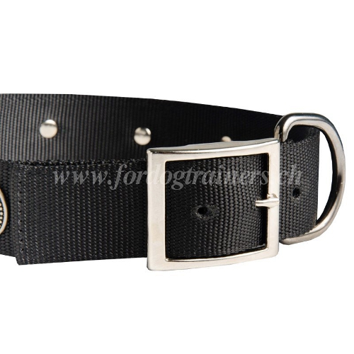 halsband nylon conchos basel