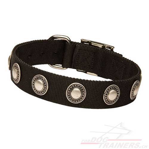 Schferhund Halsband Nylon mit Kreisen