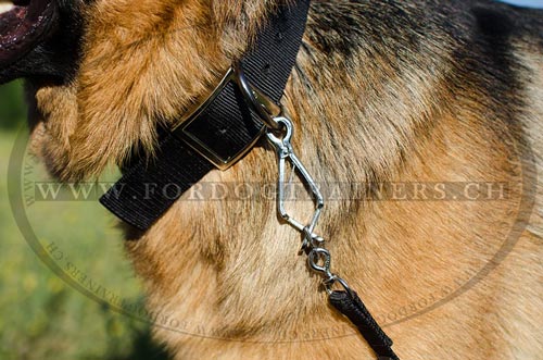 nylon hundehalsband conchos
Schferhund handgemacht