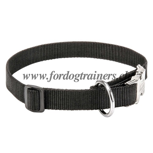 halsband nylon hundesport basel