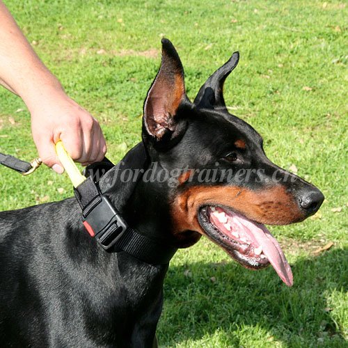dobermann nylon halsband schlaufe handgemacht