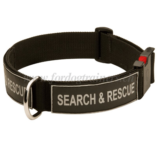 nylon logohalsband hundesport handgemacht