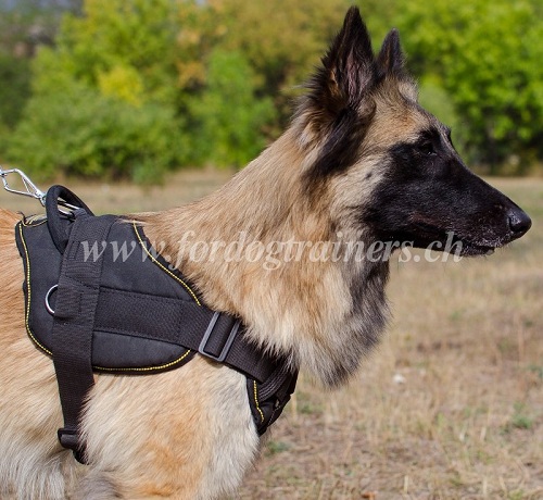 hundegeschirr gepolstert tervueren
