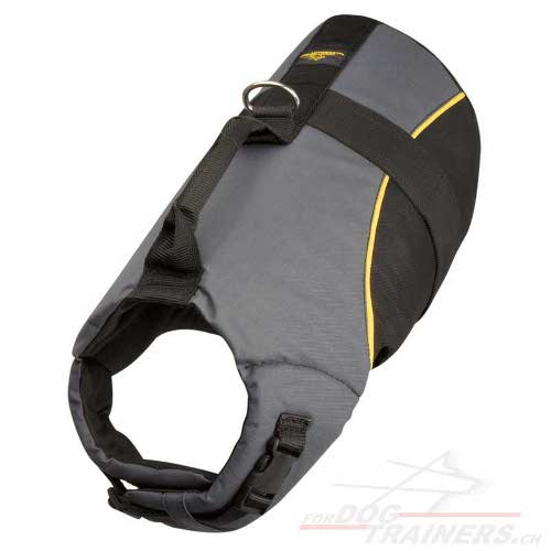 Nylon geschirr franzsische bulldogge kranke hunde
Schweiz