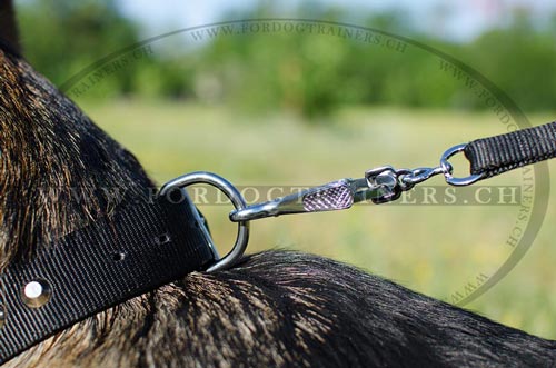 Klassisches Nylon Hundehalsband fr Schferhund
bestellen