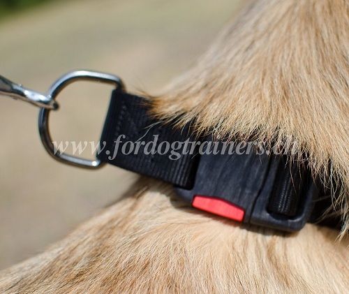 Tervueren hund halsband nylon schweiz