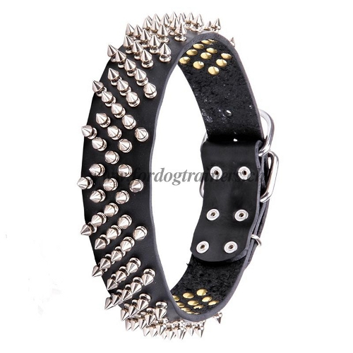 lederhalsband hund luxus schweiz
vernickelte spikes