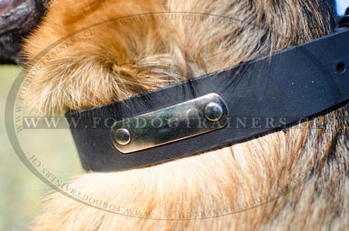Klassisches Leder Hundehalsband fr Schferhund
bestellen