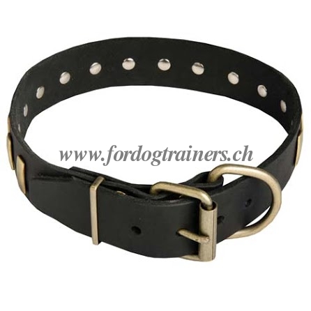 Hundehalsband fr Deutschen
Schferhund aus Leder mit Platten