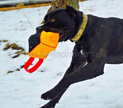 beikissen handschlaufe bandogge kaufen
