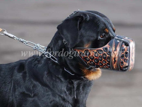 bemalter maulkorb hund fr
rottweiler Magma