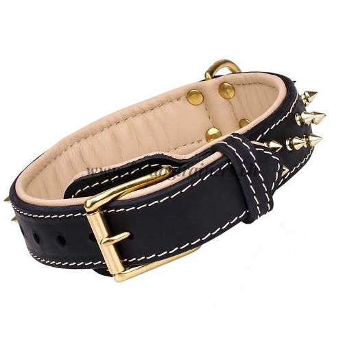 Halsband Nappaleder messing spikes handgemacht