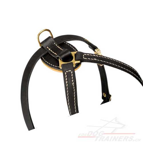 dog harness royal design