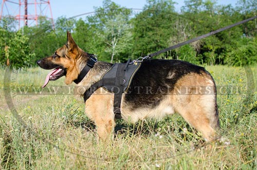 Nylon Hundegeschirr fr Deutschen Schferhund Schweiz